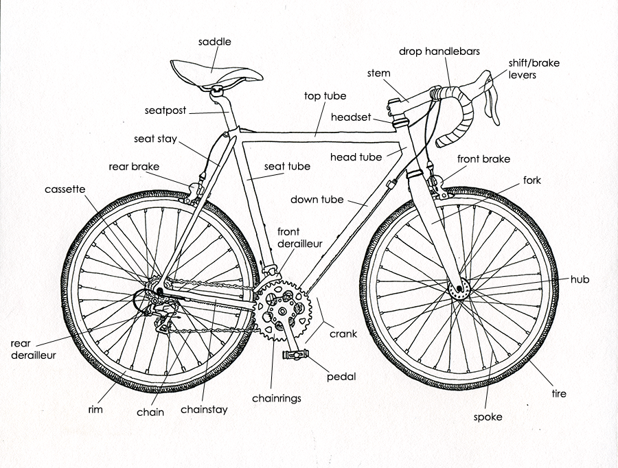 Bicycle diagram